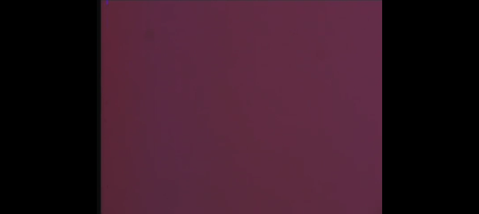 Der farblose Traum – Bild 3