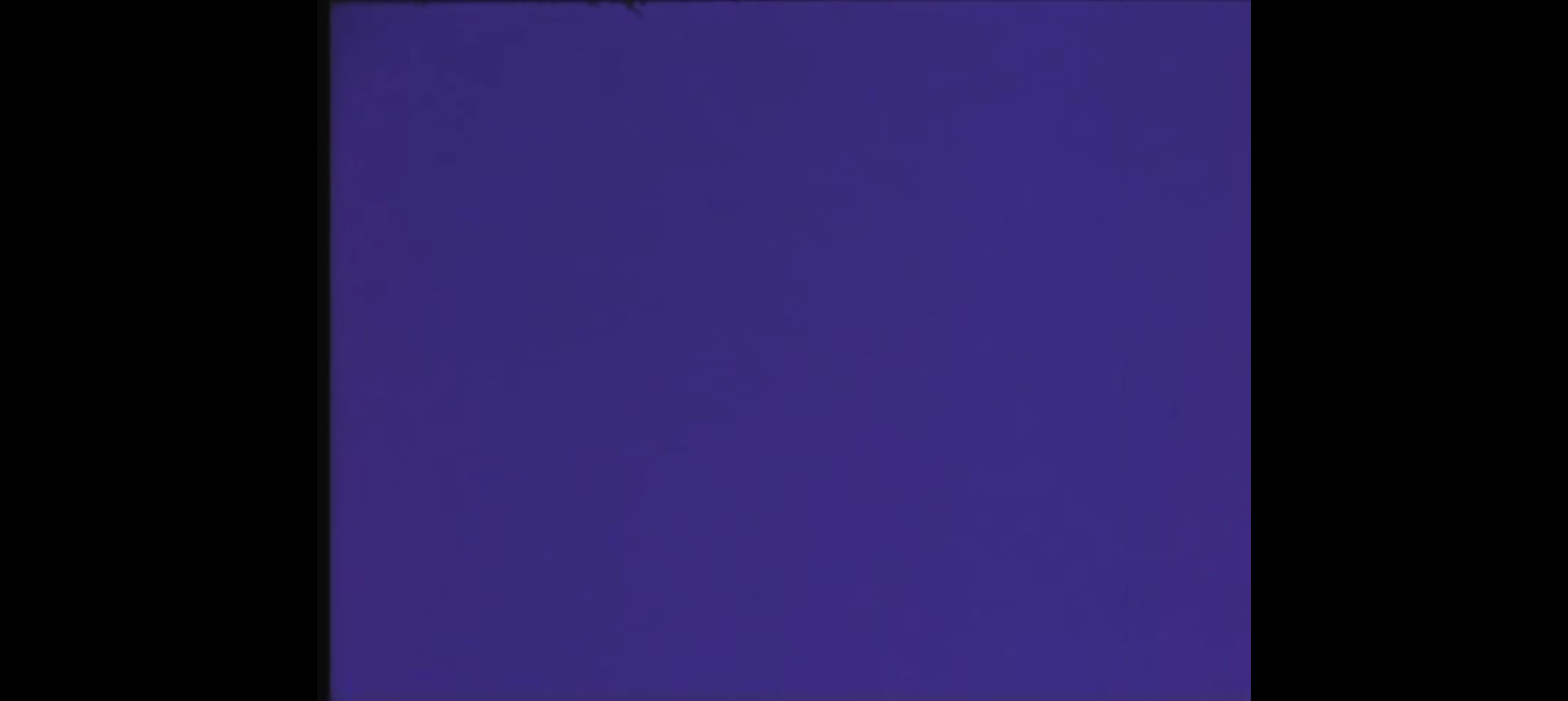 Der farblose Traum – Bild 6